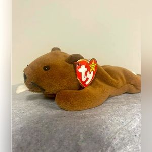 ERRORS Bucky the Beaver Beanie Baby.